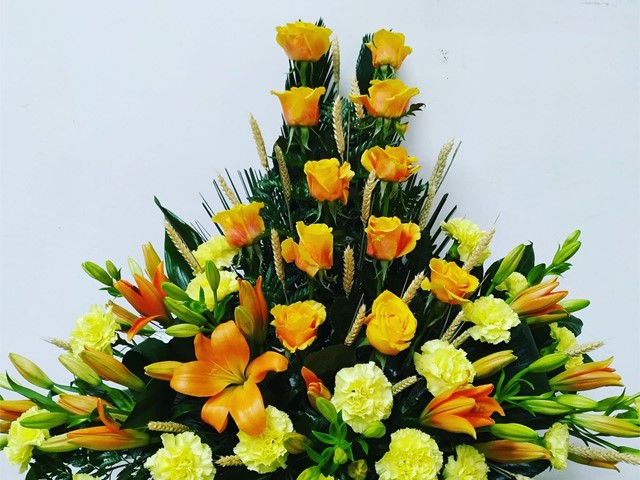 CENTRO AMARILLO