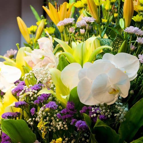 Funeraria, tanatorio y floristería en Chantada - Cristalar